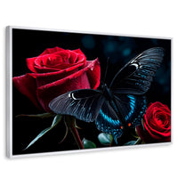 Cuadros Decorativos Canvas Revolution | Mariposa Nocturna | Rectangular | Portada | Marco Blanco