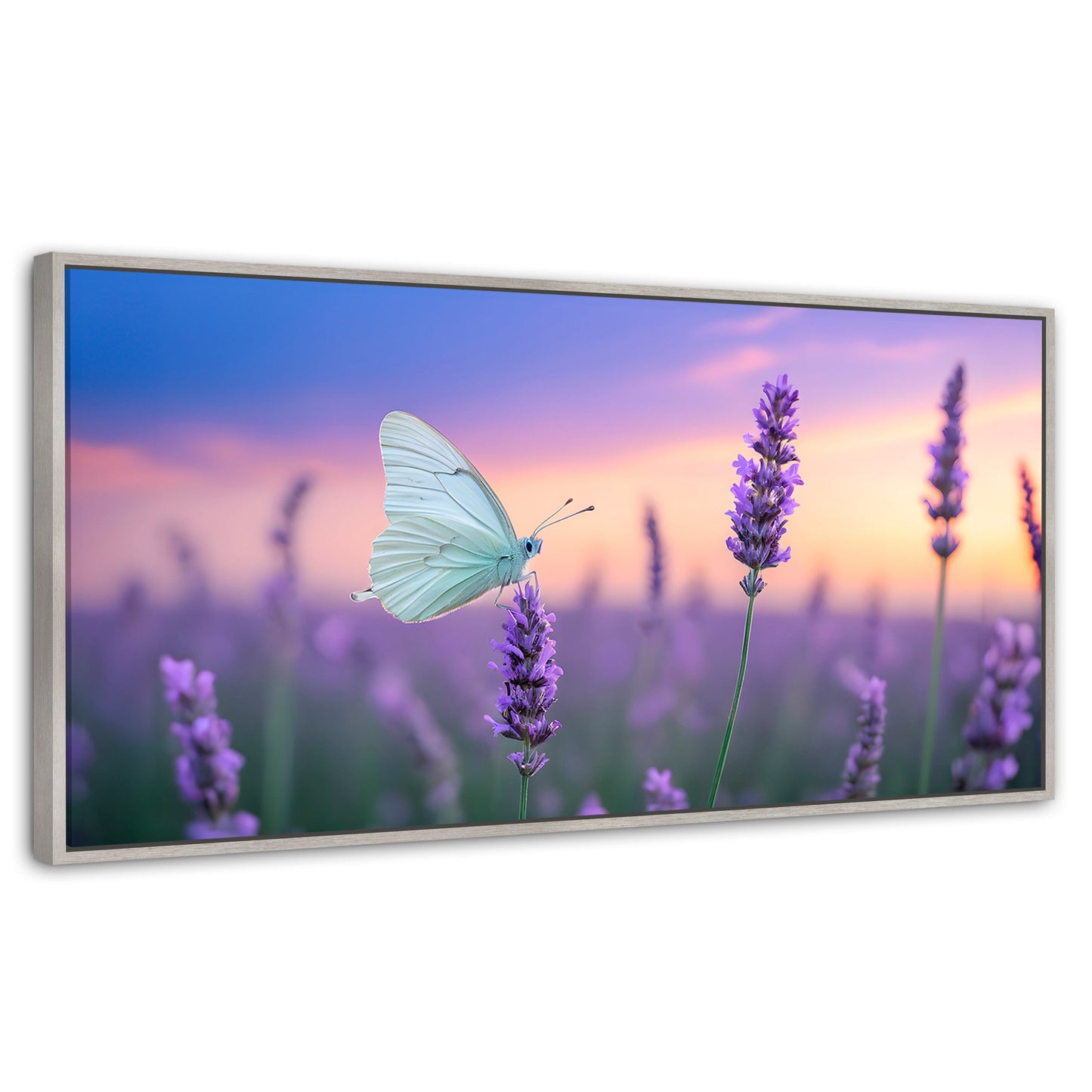 Cuadros Decorativos Canvas Revolution | Mariposa Y Lavanda | Panoramico | Portada | Marco Blanco