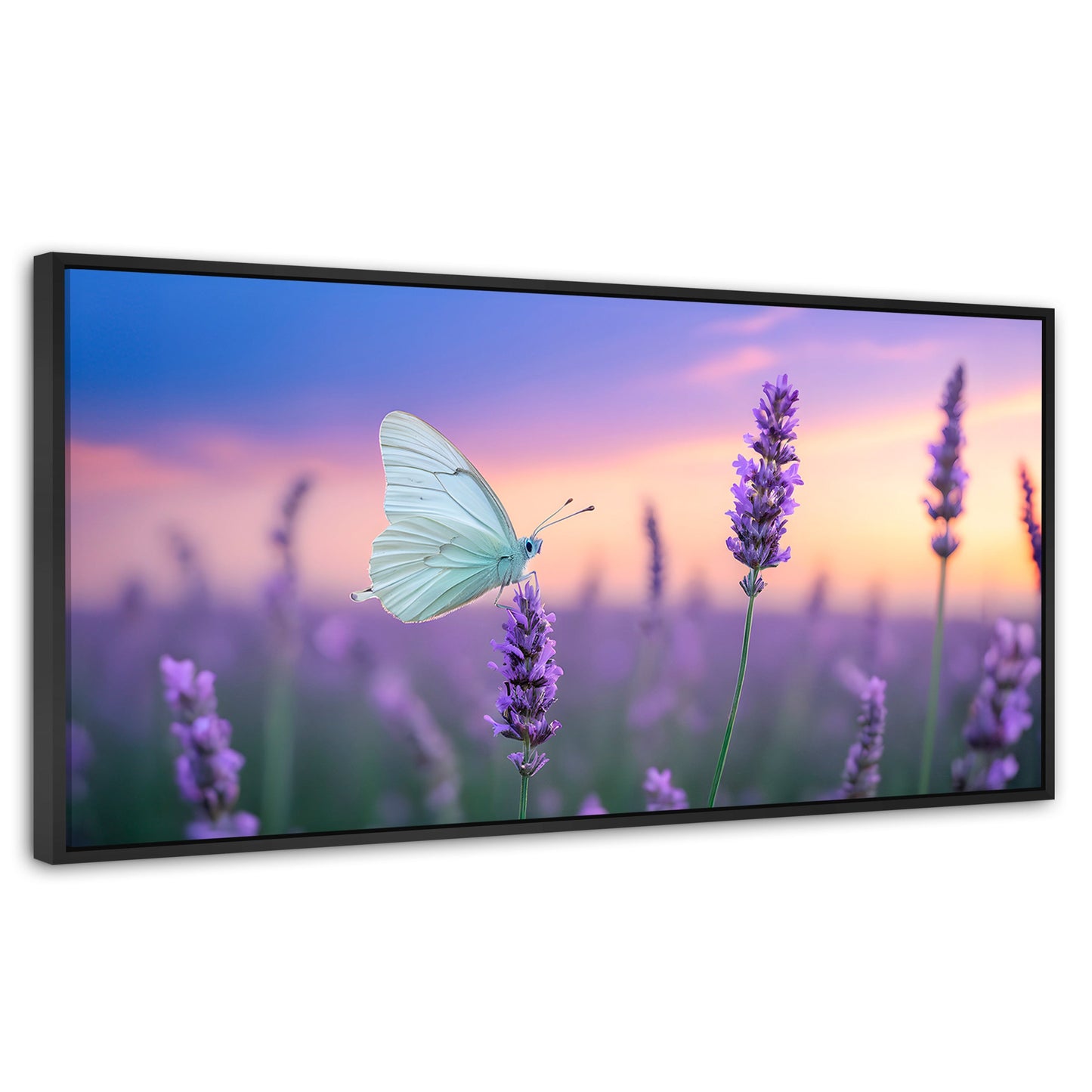 Cuadros Decorativos Canvas Revolution | Mariposa Y Lavanda | Panoramico | Portada | Marco Plateado