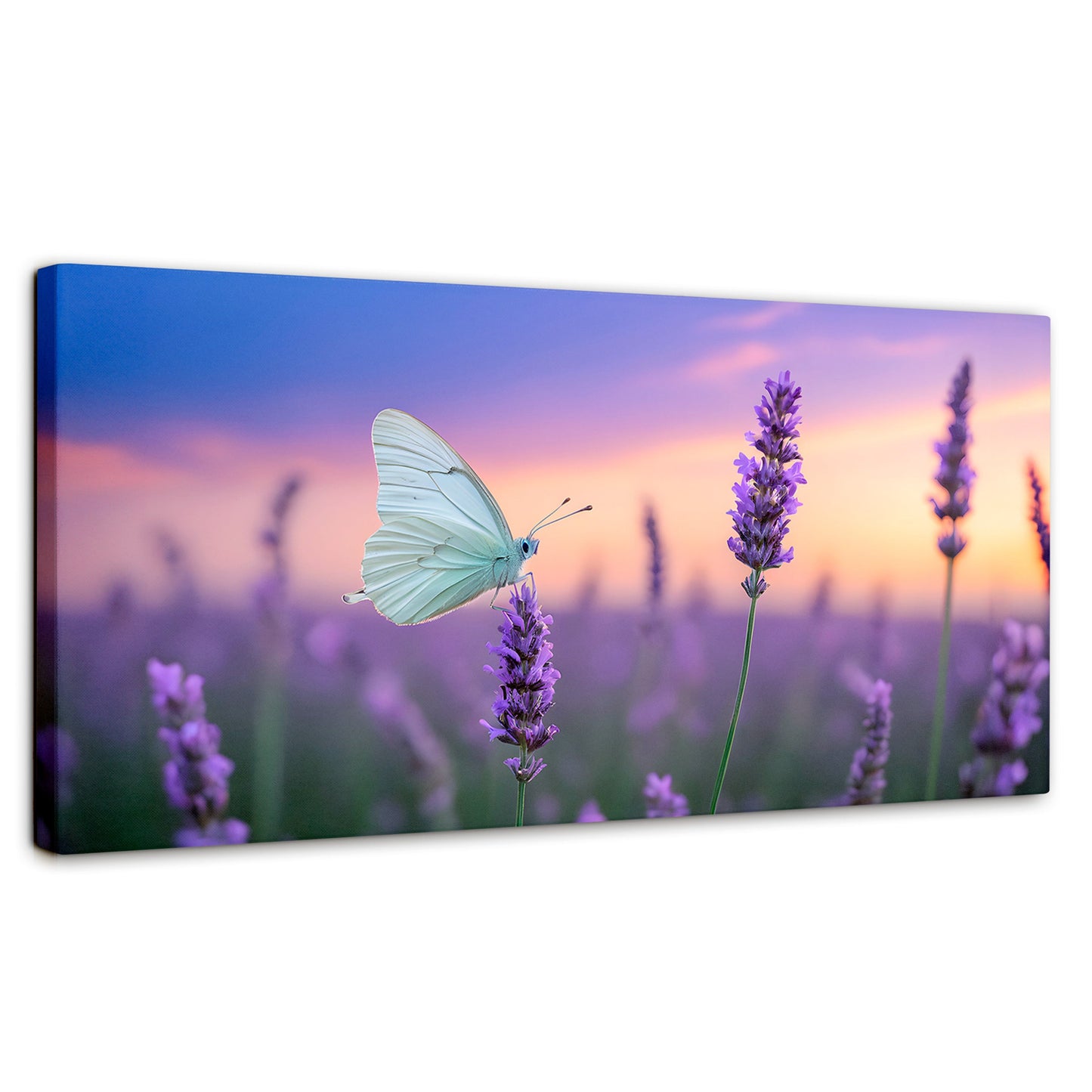 Cuadros Decorativos Canvas Revolution | Mariposa Y Lavanda | Panoramico | Portada | Marco SinMarco