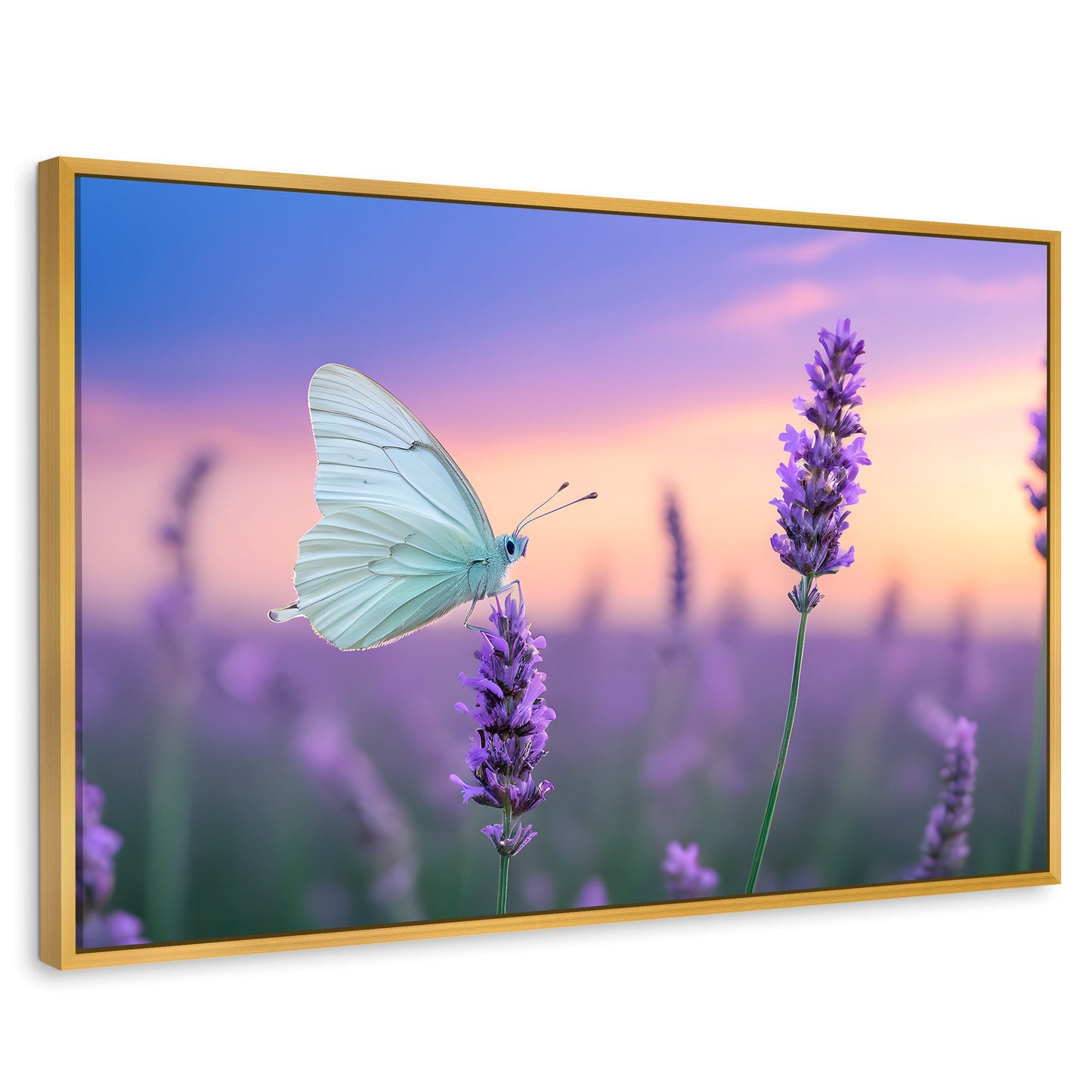 Cuadros Decorativos Canvas Revolution | Mariposa Y Lavanda | Rectangular | Portada | Marco Dorado