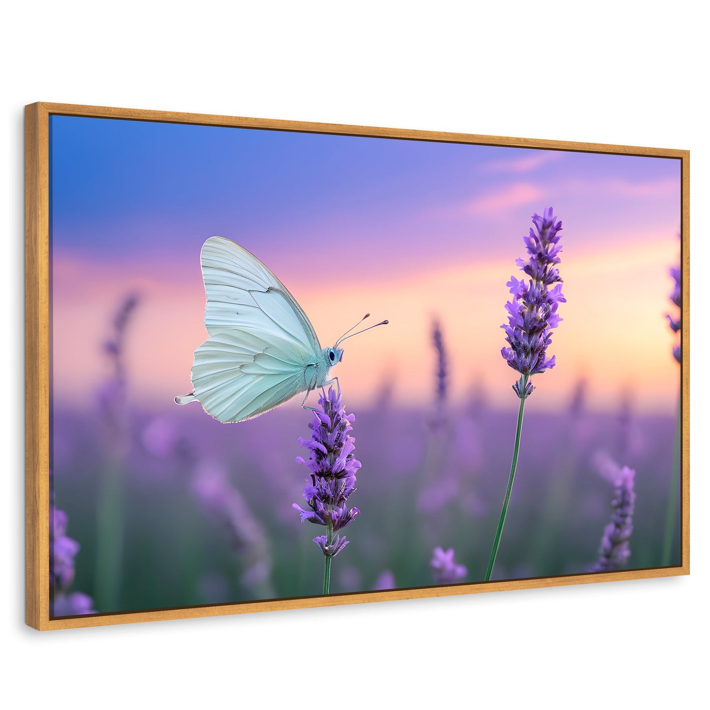 Cuadros Decorativos Canvas Revolution | Mariposa Y Lavanda | Rectangular | Portada | Marco Madera