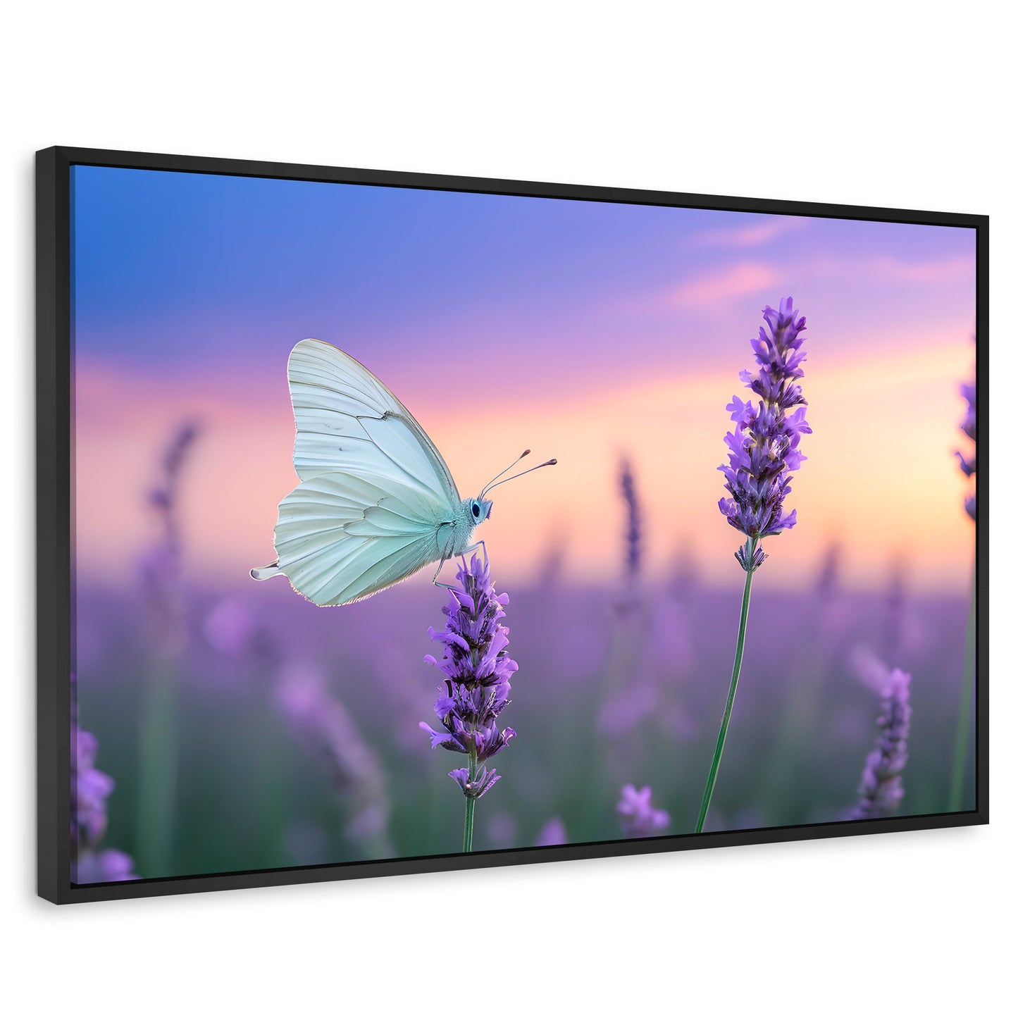 Cuadros Decorativos Canvas Revolution | Mariposa Y Lavanda | Rectangular | Portada | Marco Negro