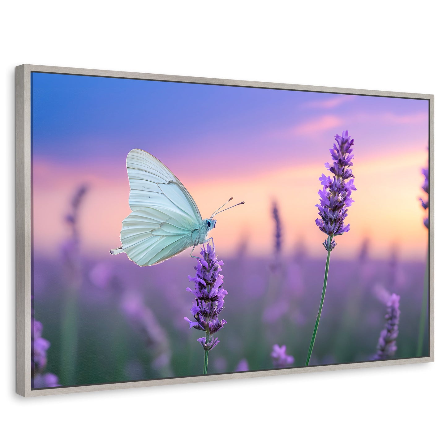 Cuadros Decorativos Canvas Revolution | Mariposa Y Lavanda | Rectangular | Portada | Marco Plateado
