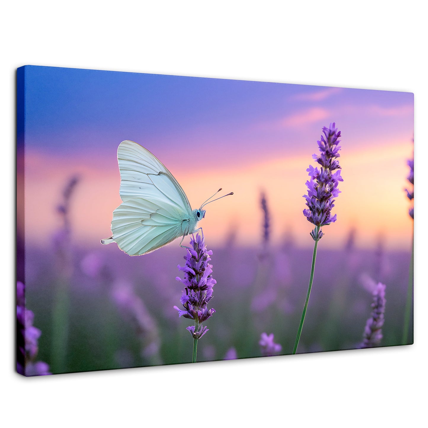 Cuadros Decorativos Canvas Revolution | Mariposa Y Lavanda | Rectangular | Portada | Marco SinMarco