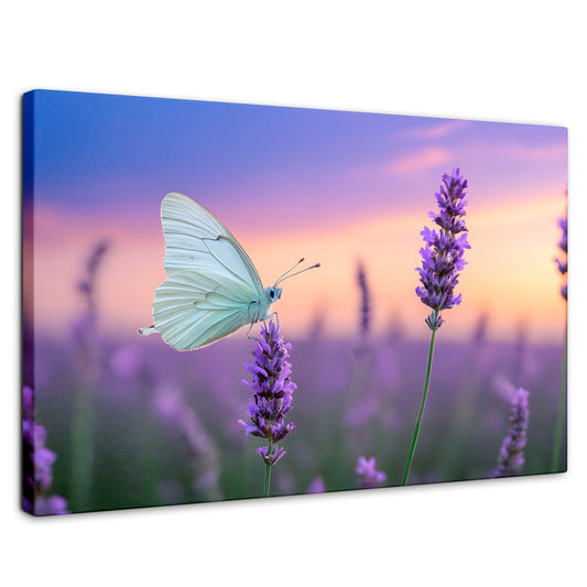 Cuadros Decorativos Canvas Revolution | Mariposa Y Lavanda | Rectangular | Portada | Marco SinMarco