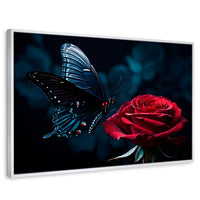 Cuadros Decorativos Canvas Revolution | Mariposa Y Rosa | Rectangular | Portada | Marco Blanco