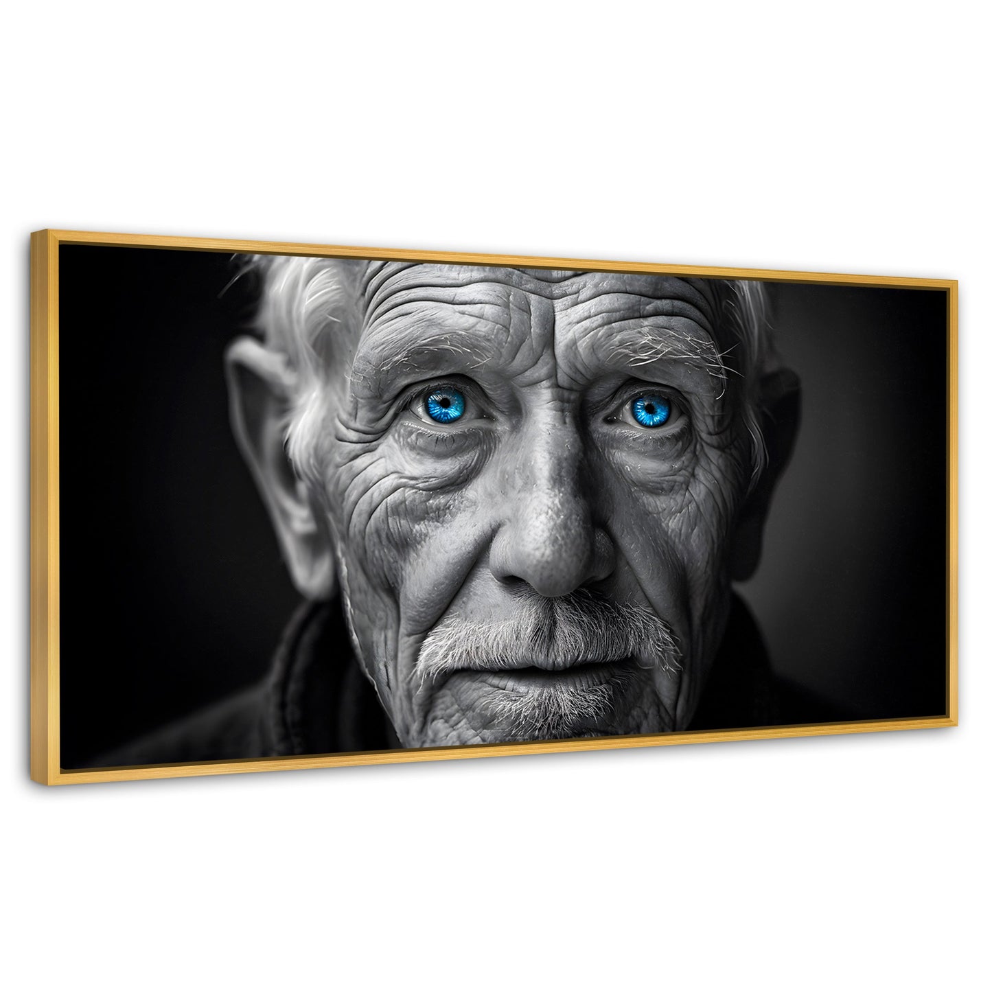 Cuadros Decorativos Canvas Revolution | Ojos De Historia | Panoramico | Portada | Marco Madera