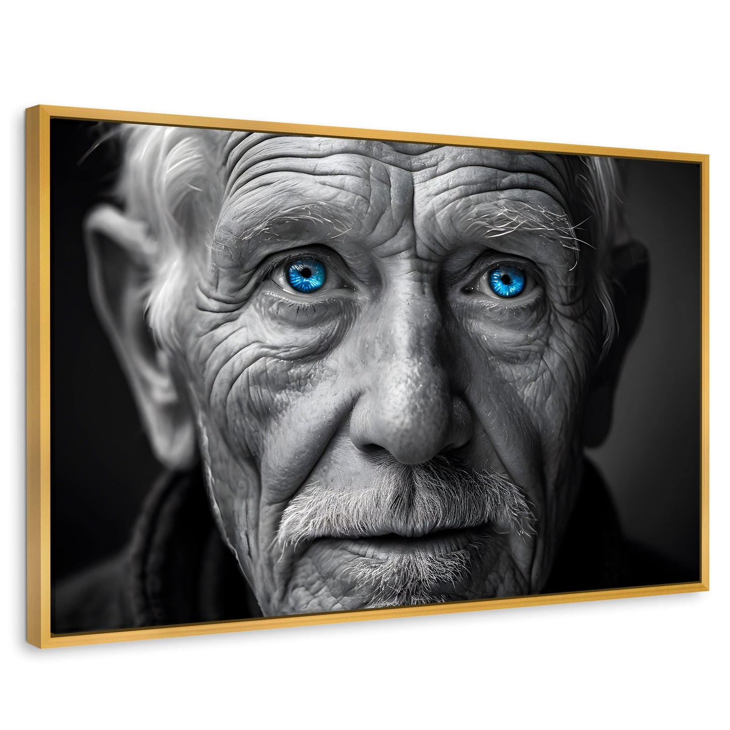 Cuadros Decorativos Canvas Revolution | Ojos De Historia | Rectangular | Portada | Marco Dorado