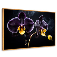 Cuadros Decorativos Canvas Revolution | Orquidea Bicolor | Rectangular | Portada | Marco Madera