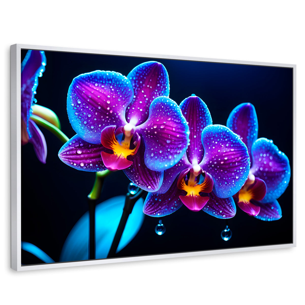 Cuadros Decorativos Canvas Revolution | Orquidea Destello | Rectangular | Portada