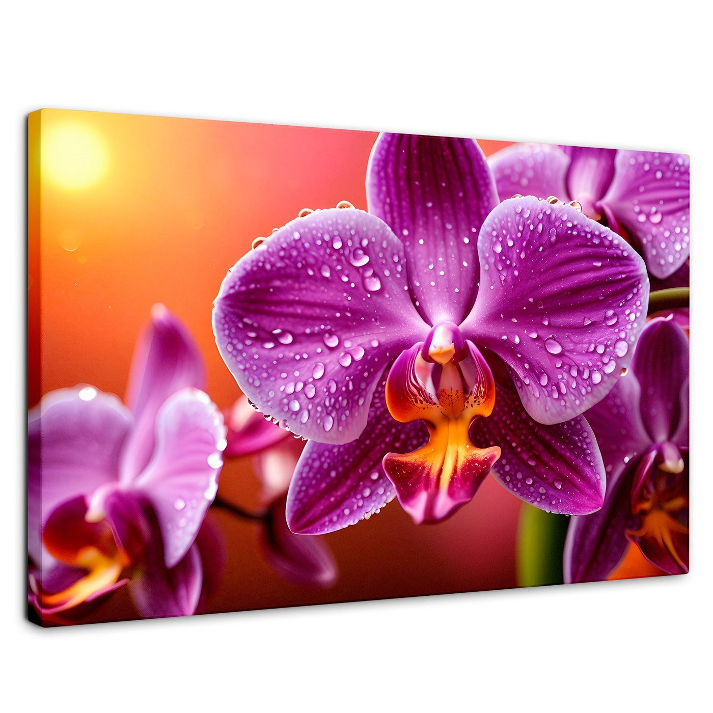 Cuadros Decorativos Canvas Revolution | Orquidea Morada Sol | Rectangular | Portada | Marco SinMarco