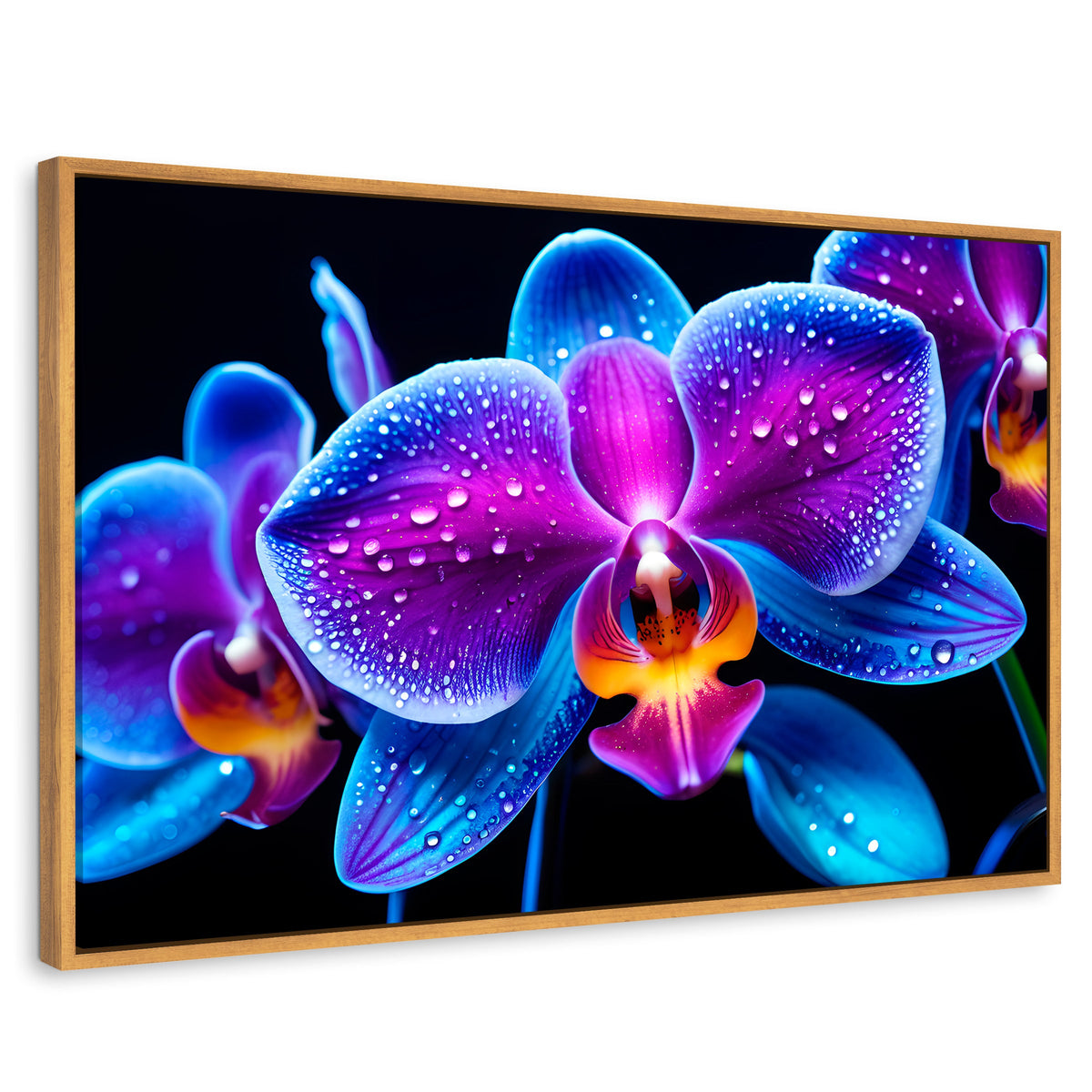 Cuadros Decorativos Canvas Revolution | Orquidea Radiante | Rectangular | Portada