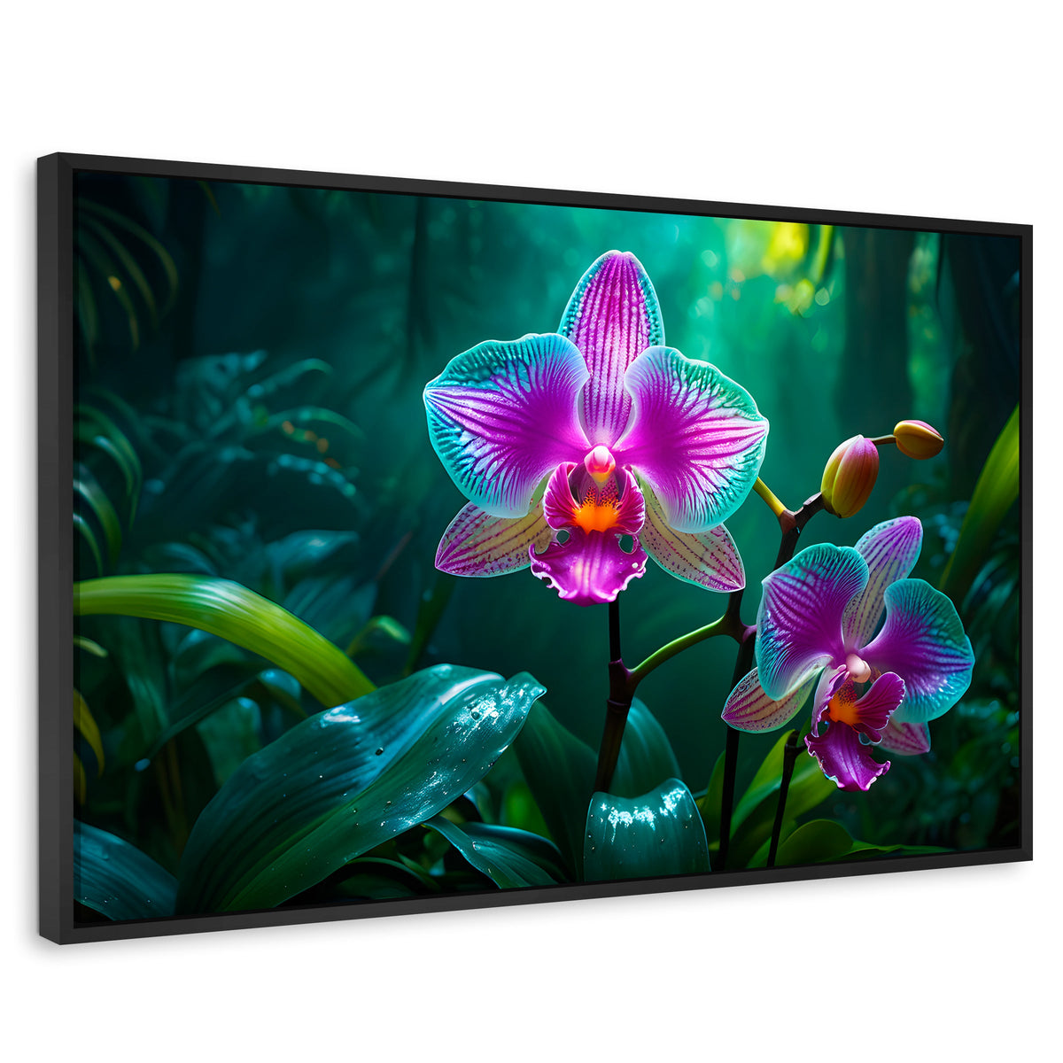 Cuadros Decorativos Canvas Revolution | Orquideas Vibrantes | Rectangular | Portada | Marco Negro
