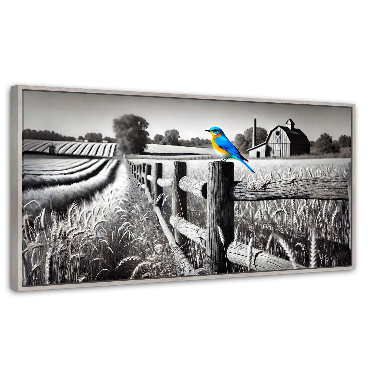 Cuadros Decorativos Canvas Revolution | Pajaro En Reposo | Panoramico | Portada | Marco Blanco