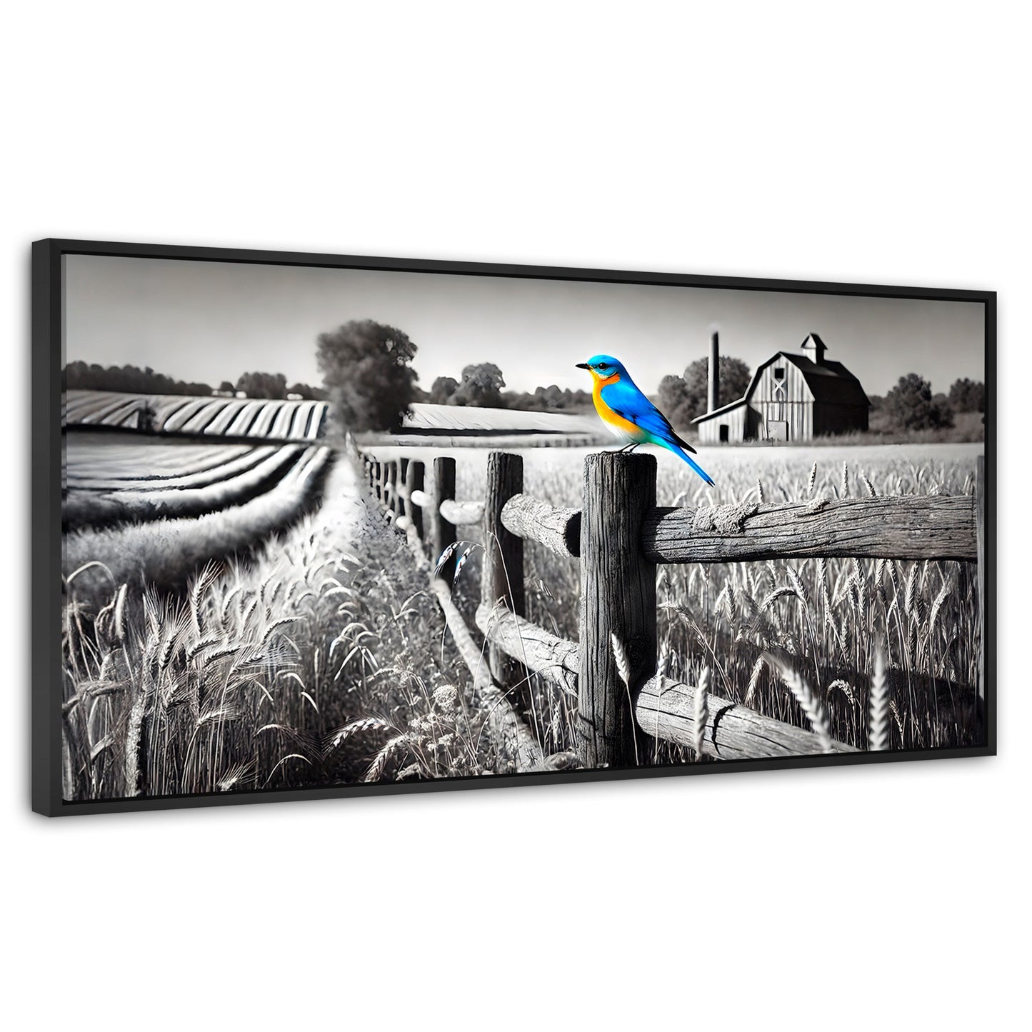 Cuadros Decorativos Canvas Revolution | Pajaro En Reposo | Panoramico | Portada | Marco Plateado