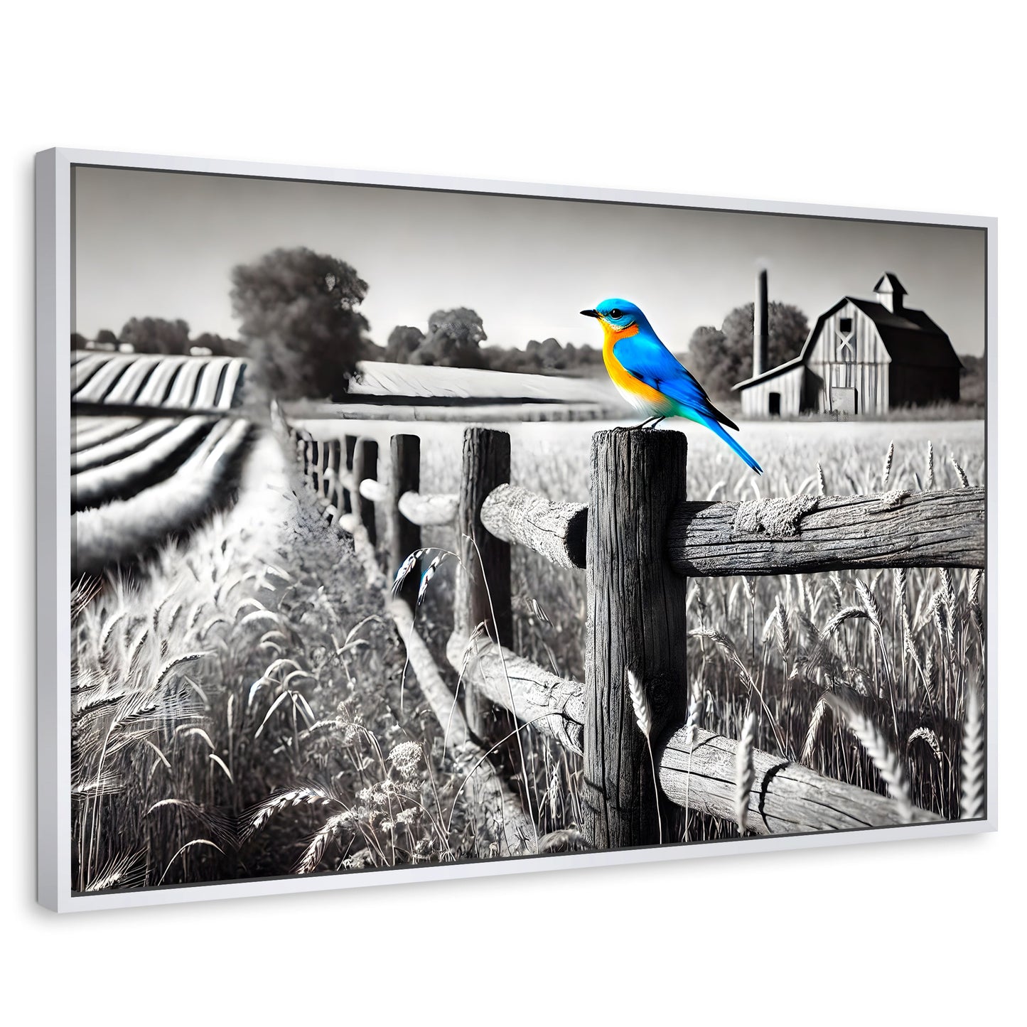 Cuadros Decorativos Canvas Revolution | Pajaro En Reposo | Rectangular | Portada | Marco Blanco