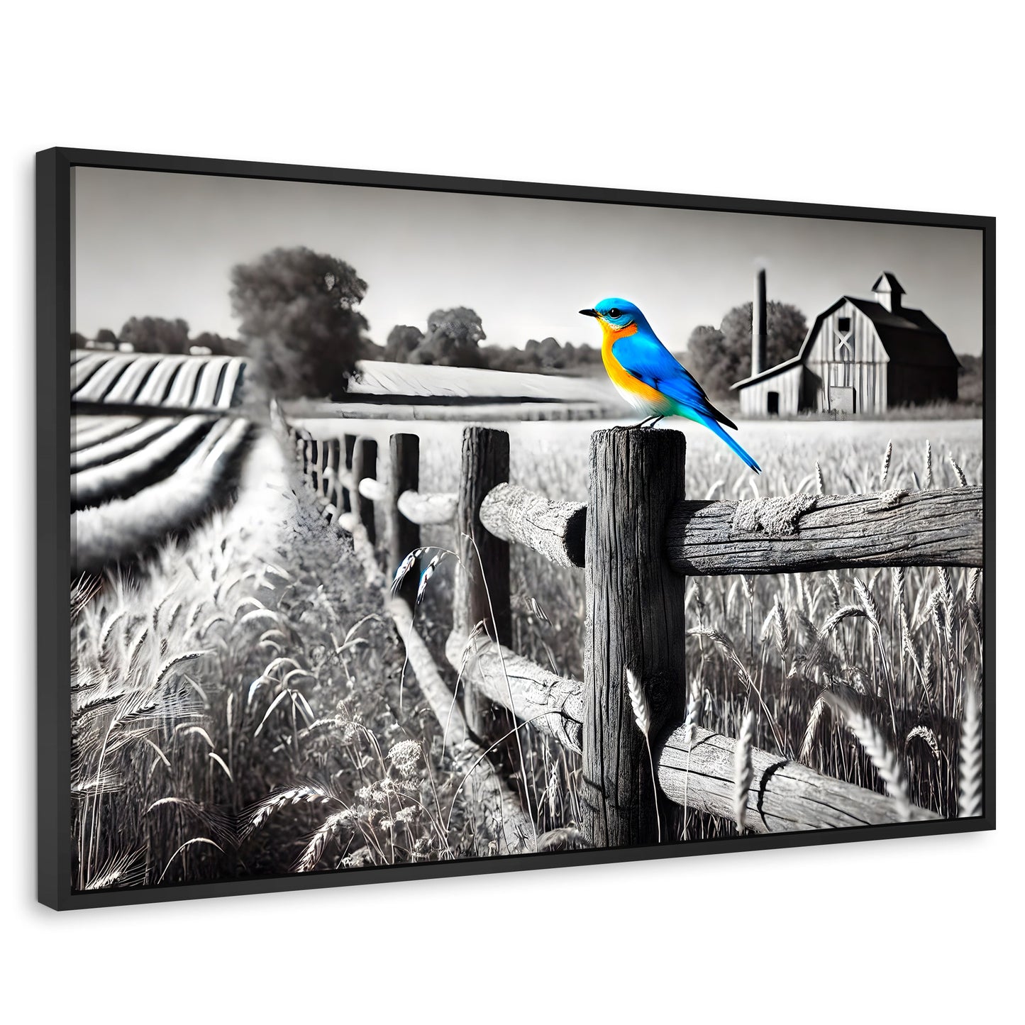 Cuadros Decorativos Canvas Revolution | Pajaro En Reposo | Rectangular | Portada | Marco Negro