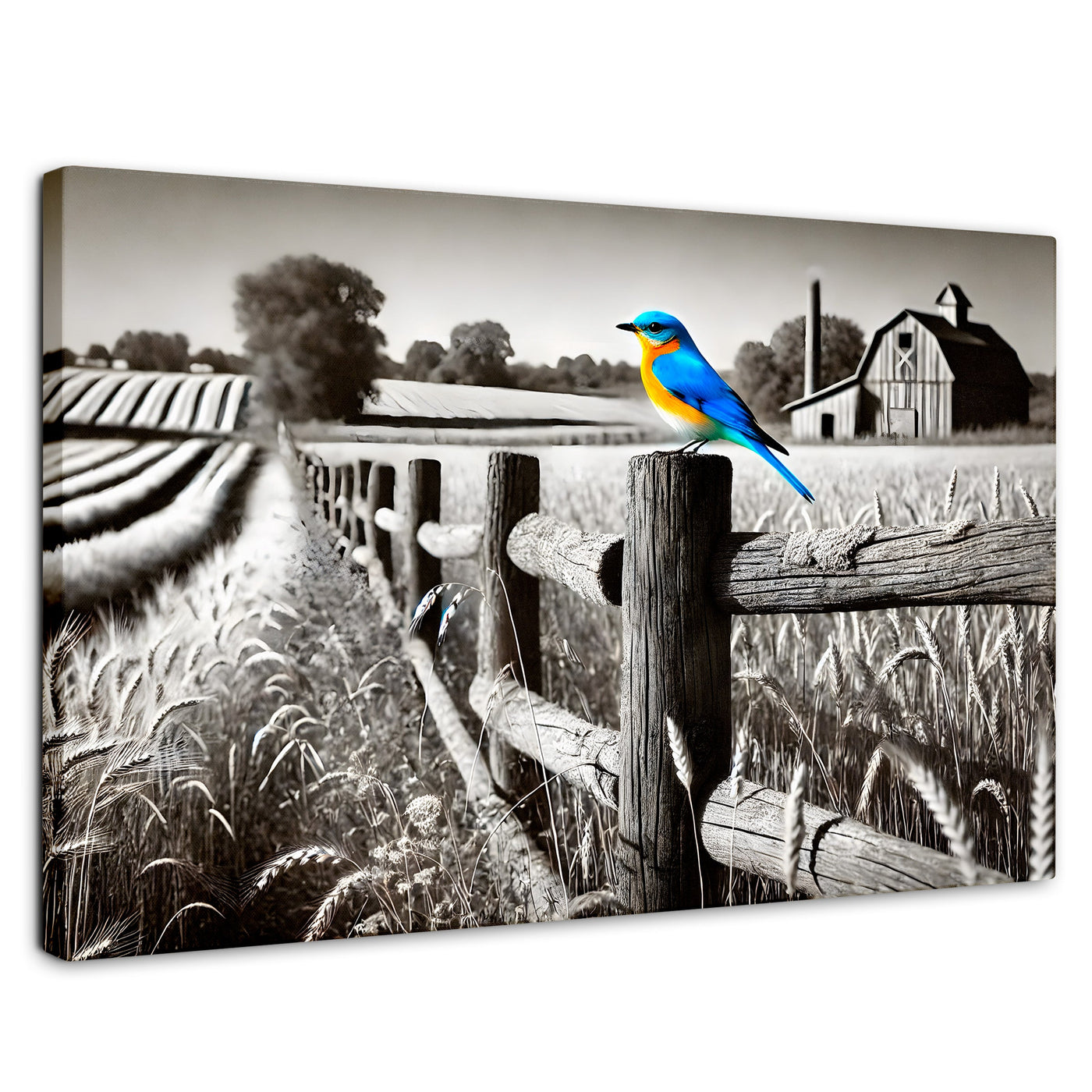 Cuadros Decorativos Canvas Revolution | Pajaro En Reposo | Rectangular | Portada | Marco SinMarco