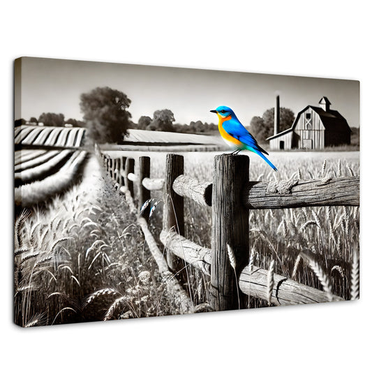 Cuadros Decorativos Canvas Revolution | Pajaro En Reposo | Rectangular | Portada | Marco SinMarco