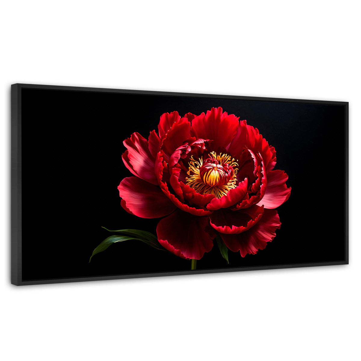 Cuadros Decorativos Canvas Revolution | Peonia De Noche | Panoramico | Portada | Marco Negro