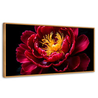 Cuadros Decorativos Canvas Revolution | Peonia Dualidad | Panoramico | Portada | Marco Madera
