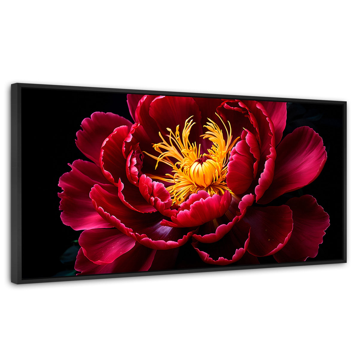 Cuadros Decorativos Canvas Revolution | Peonia Dualidad | Panoramico | Portada | Marco Negro