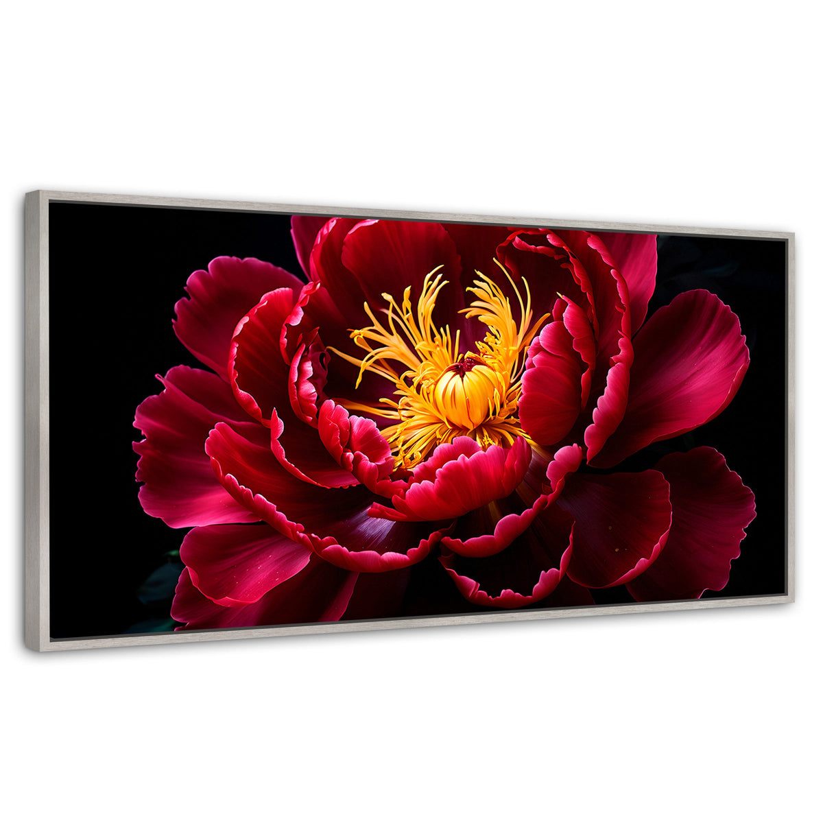 Cuadros Decorativos Canvas Revolution | Peonia Dualidad | Panoramico | Portada | Marco Plateado