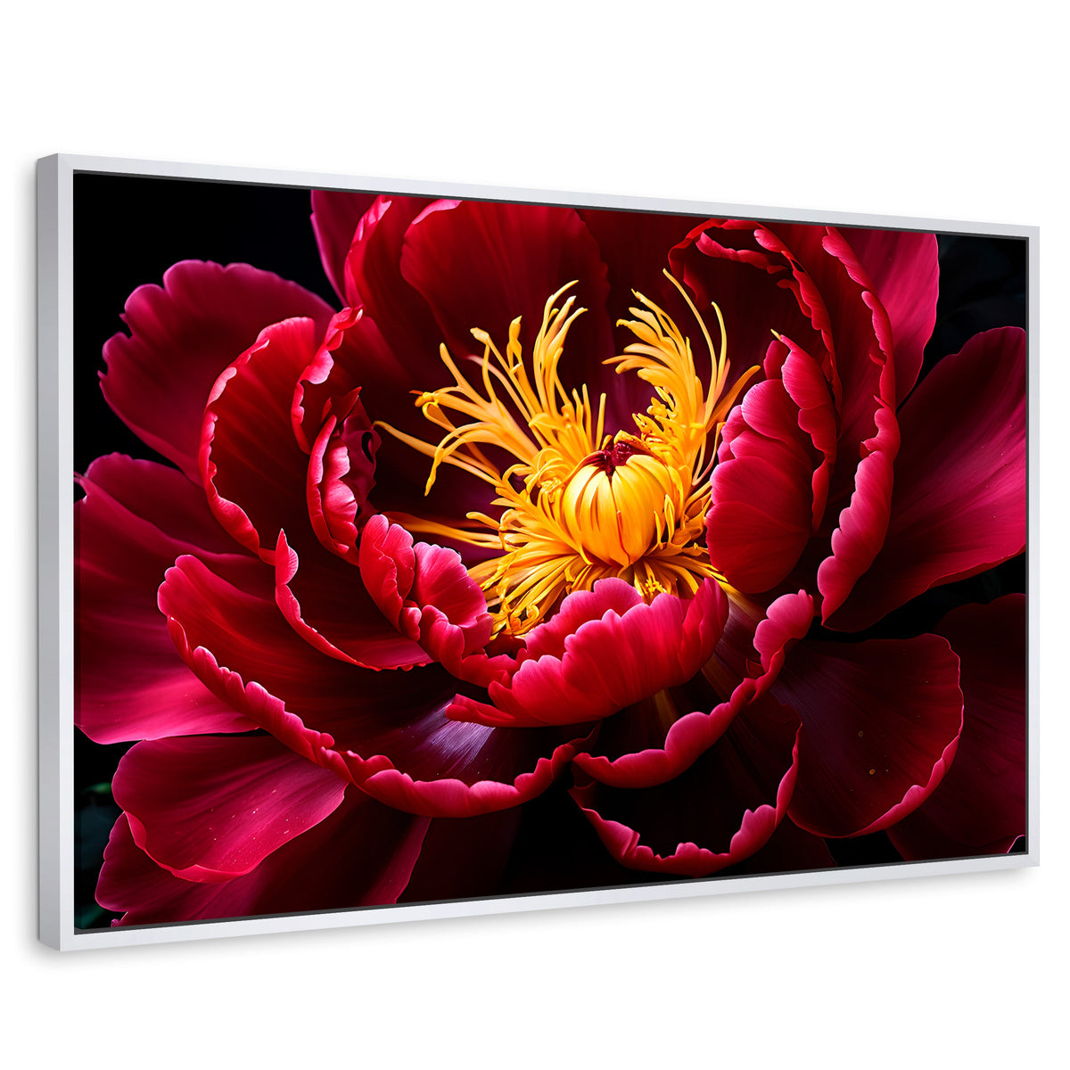 Cuadros Decorativos Canvas Revolution | Peonia Dualidad | Rectangular | Portada | Marco Blanco
