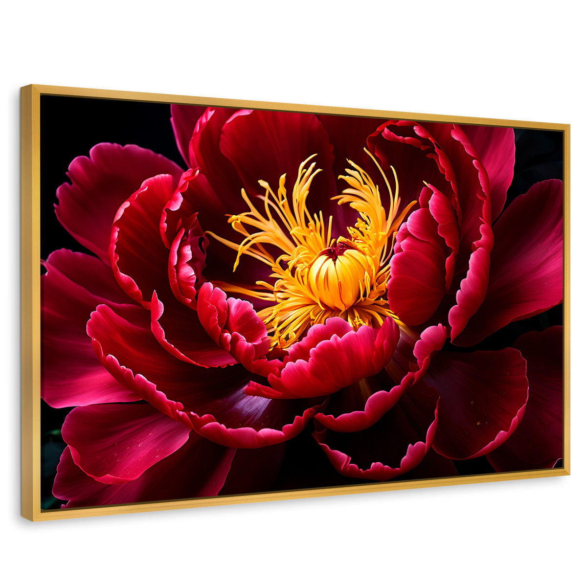 Cuadros Decorativos Canvas Revolution | Peonia Dualidad | Rectangular | Portada | Marco Dorado