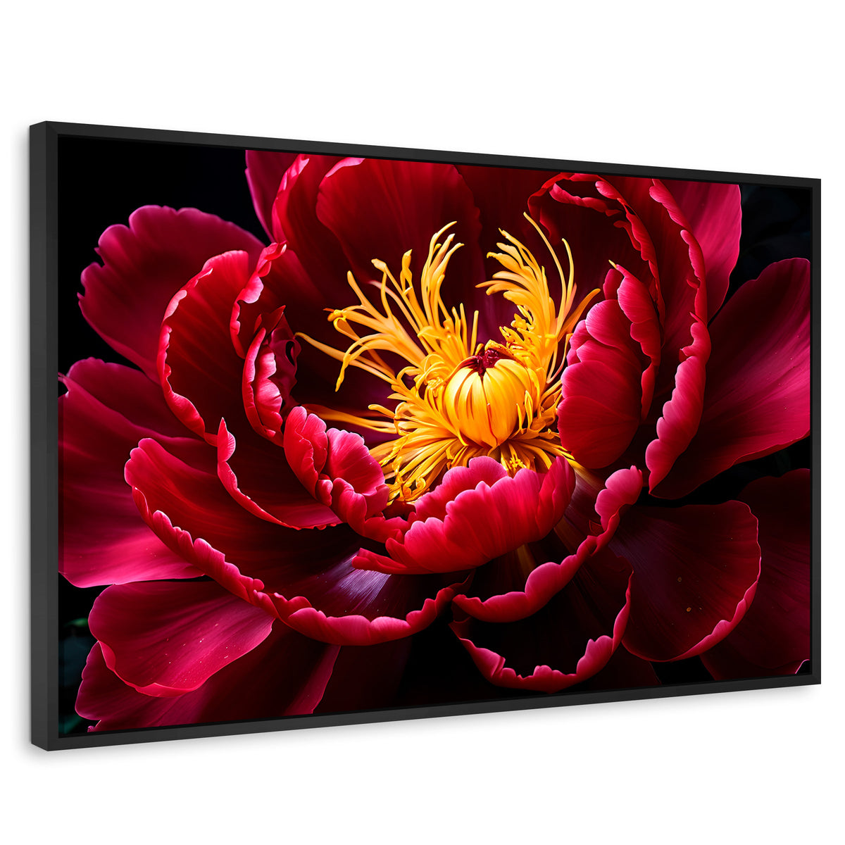 Cuadros Decorativos Canvas Revolution | Peonia Dualidad | Rectangular | Portada | Marco Negro