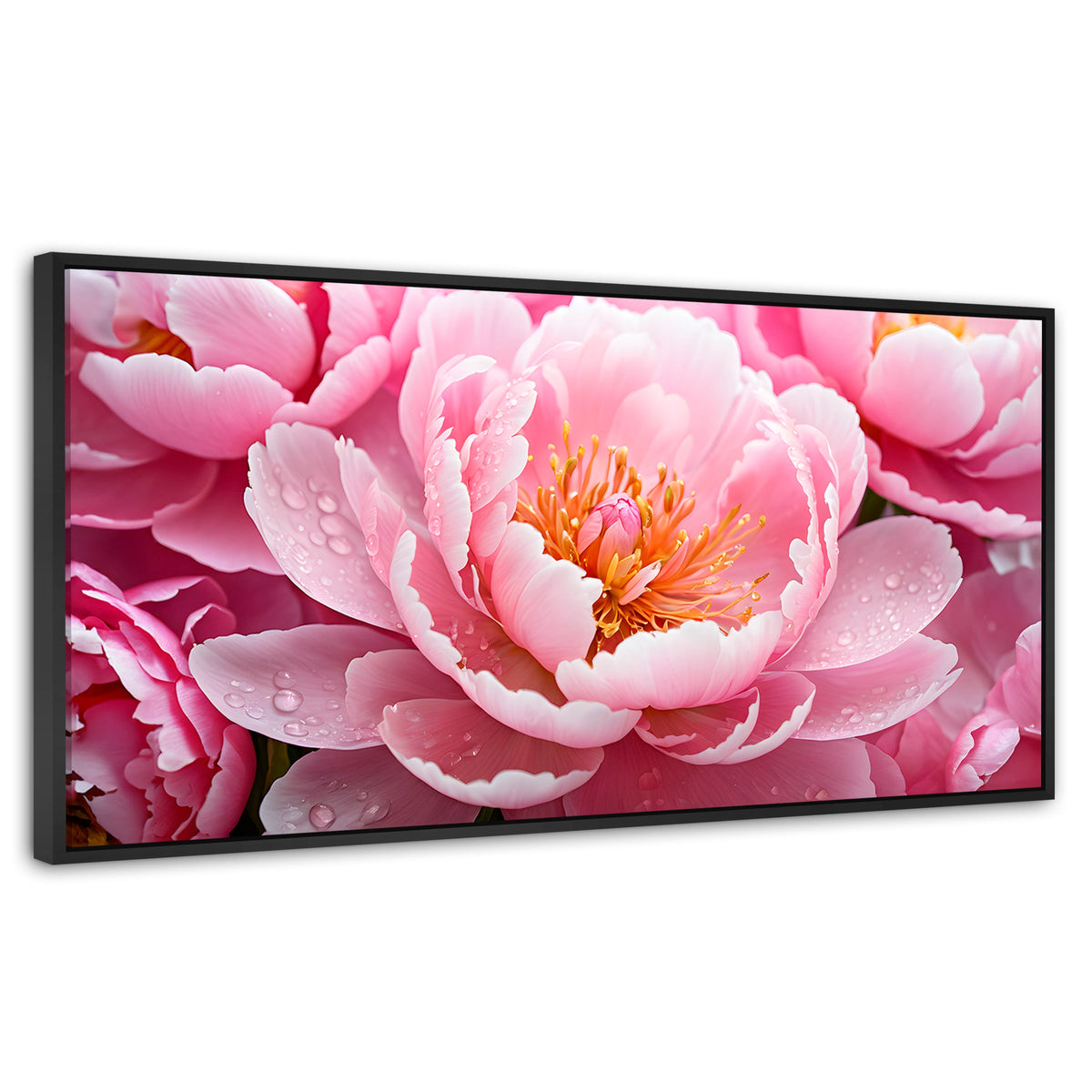 Cuadros Decorativos Canvas Revolution | Peonia Encanto | Panoramico | Portada | Marco Negro