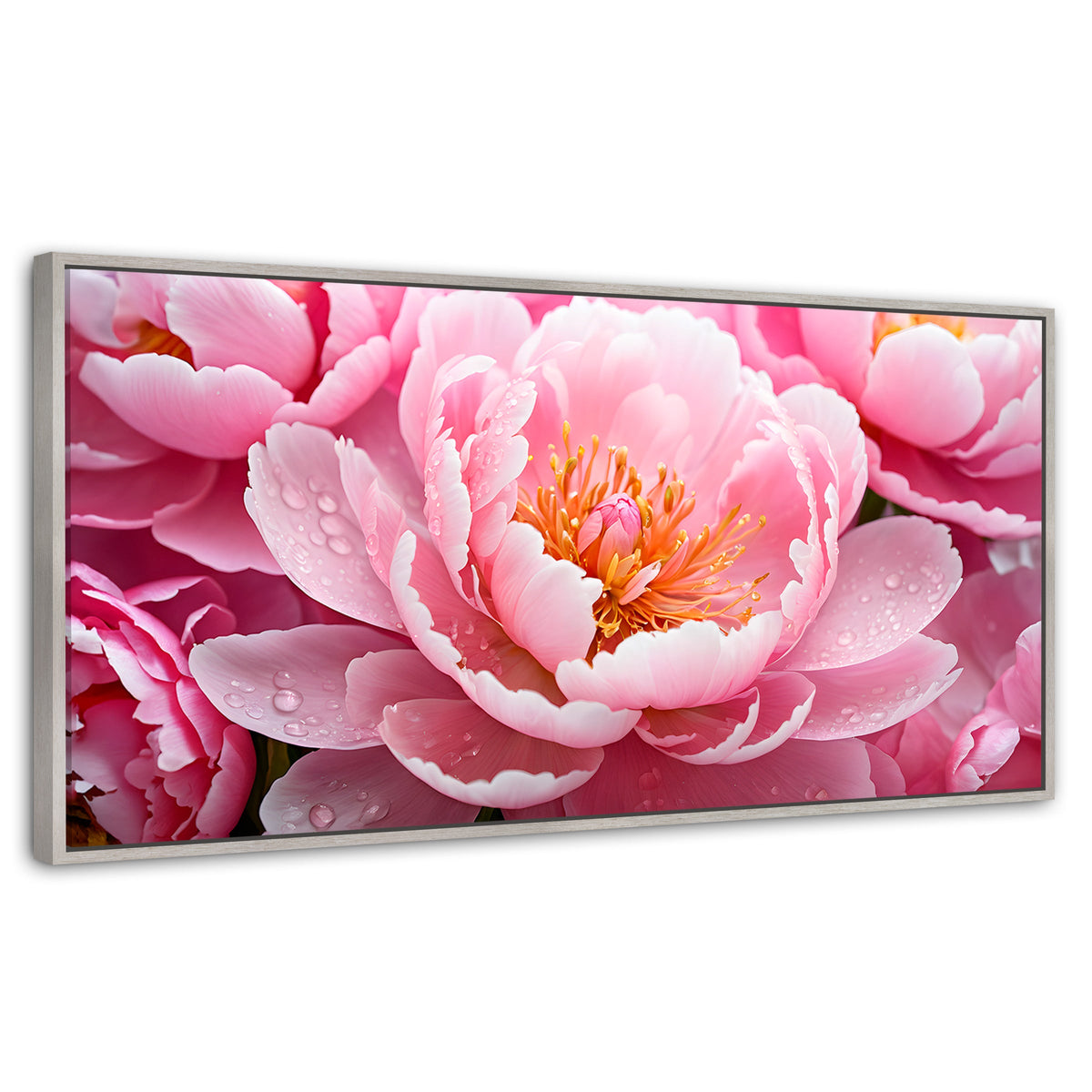 Cuadros Decorativos Canvas Revolution | Peonia Encanto | Panoramico | Portada | Marco Plateado