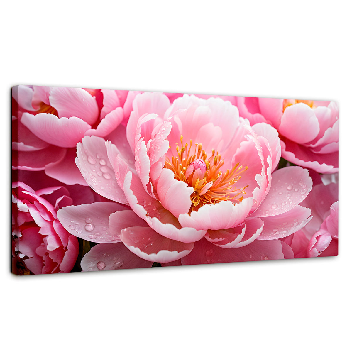 Cuadros Decorativos Canvas Revolution | Peonia Encanto | Panoramico | Portada | Marco SinMarco