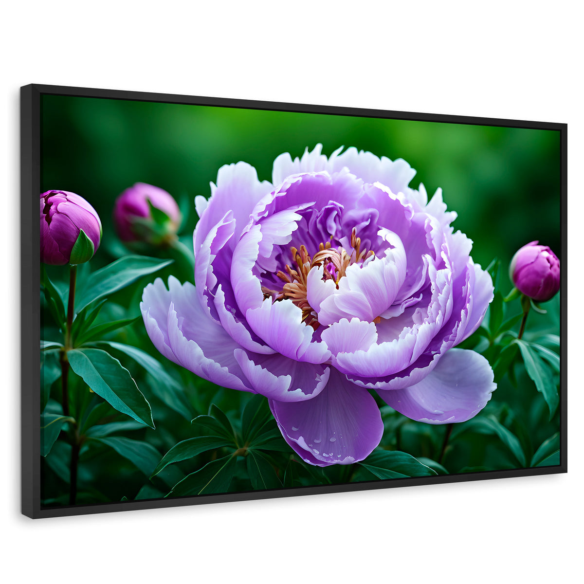 Cuadros Decorativos Canvas Revolution | Peonia Morada Viva | Rectangular | Portada | Marco Negro