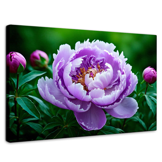 Cuadros Decorativos Canvas Revolution | Peonia Morada Viva | Rectangular | Portada | Marco SinMarco