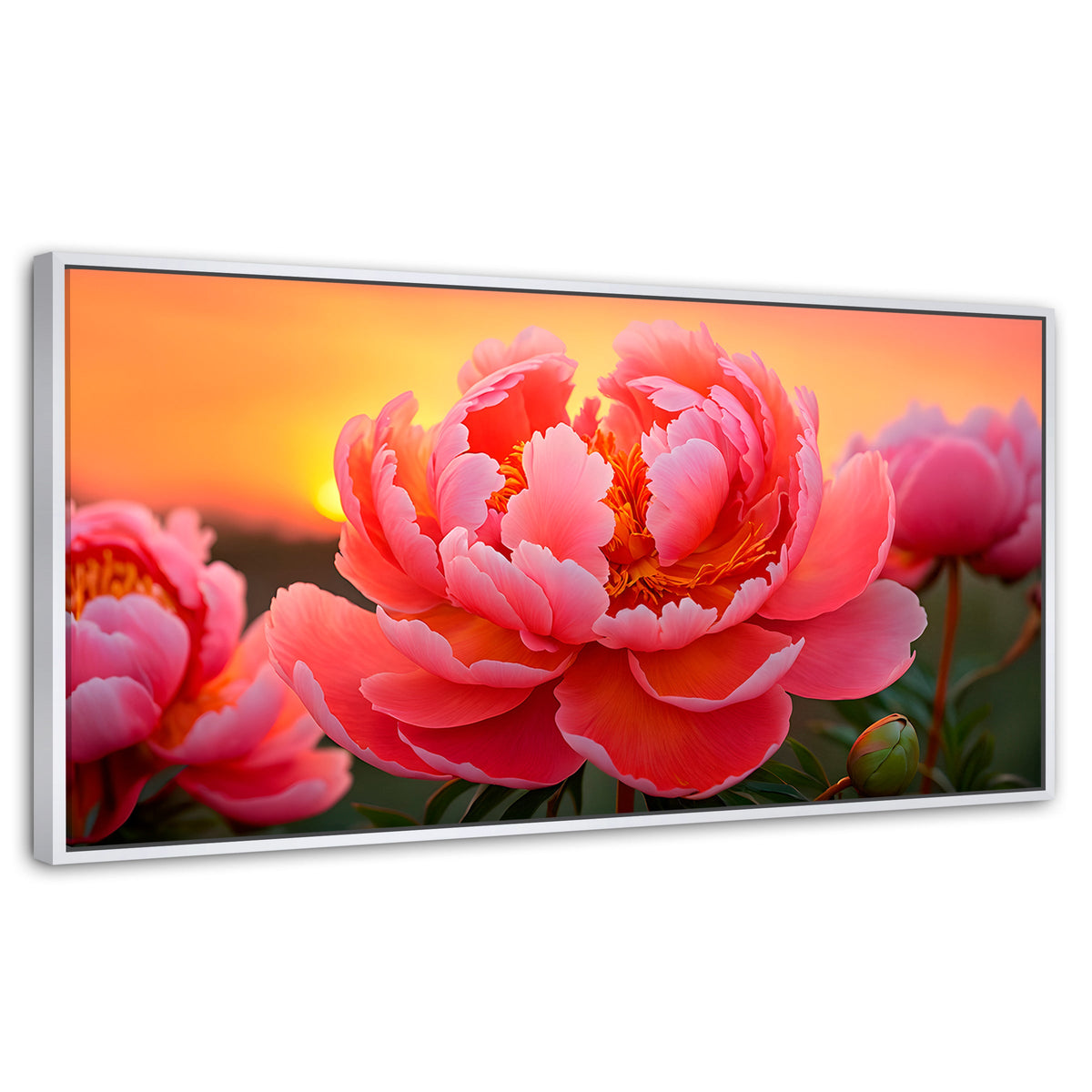 Cuadros Decorativos Canvas Revolution | Peonia Rosa Eterno | Panoramico | Portada | Marco Blanco