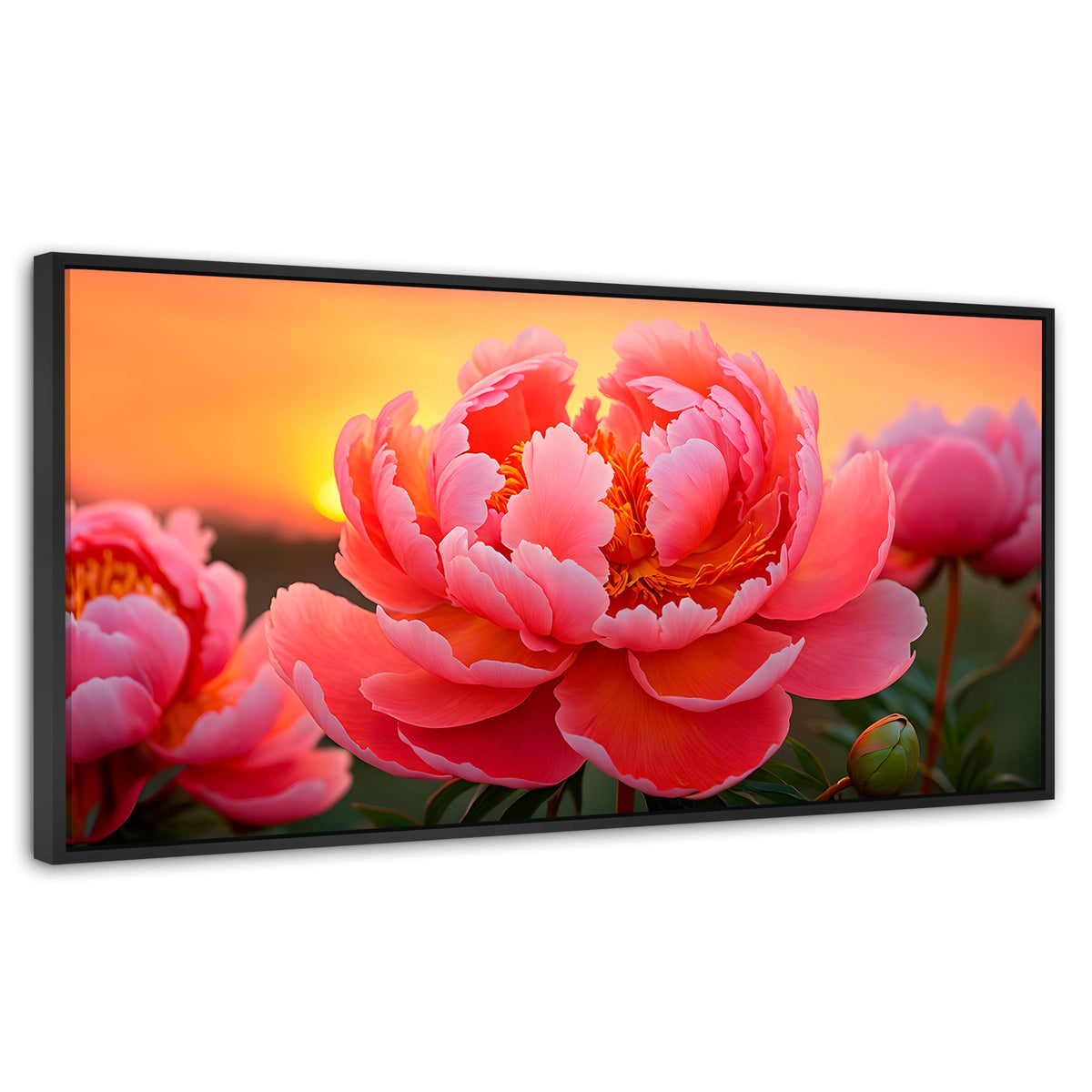 Cuadros Decorativos Canvas Revolution | Peonia Rosa Eterno | Panoramico | Portada | Marco Negro