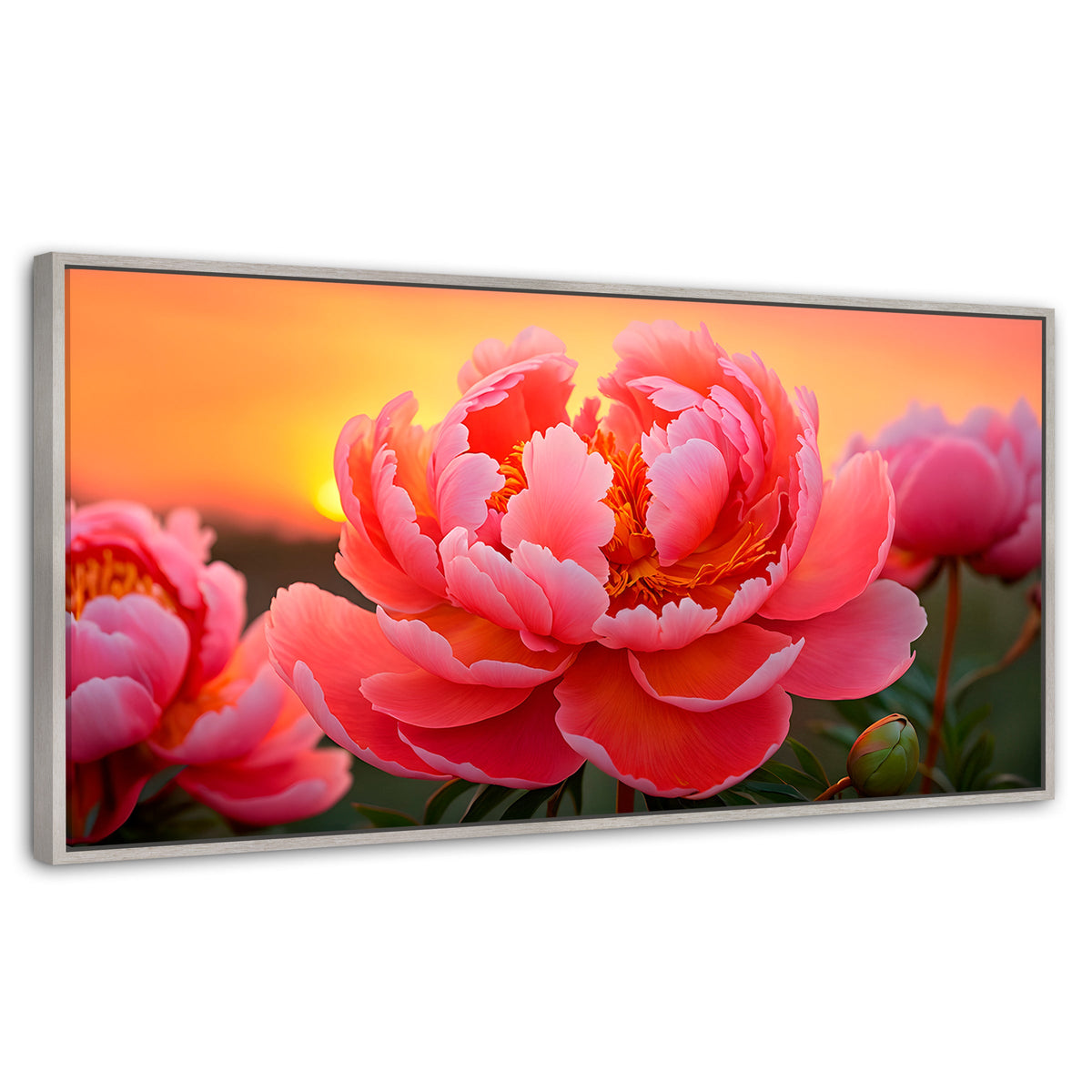Cuadros Decorativos Canvas Revolution | Peonia Rosa Eterno | Panoramico | Portada | Marco Plateado