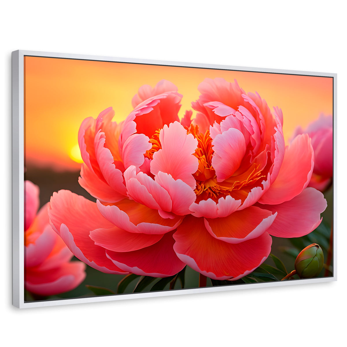 Cuadros Decorativos Canvas Revolution | Peonia Rosa Eterno | Rectangular | Portada | Marco Blanco