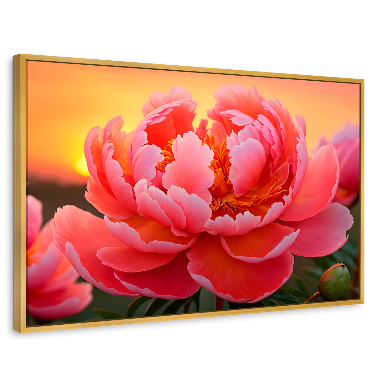 Cuadros Decorativos Canvas Revolution | Peonia Rosa Eterno | Rectangular | Portada | Marco Dorado