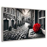 Cuadros Decorativos Canvas Revolution | Piedras Y Petalos | Rectangular | Portada | Marco Plateado