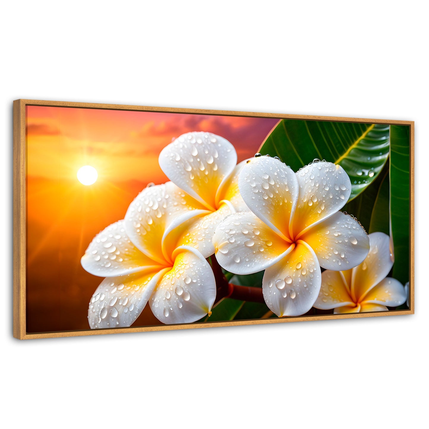 Cuadros Decorativos Canvas Revolution | Plumeria Luz Serena | Panoramico | Portada | Marco Madera