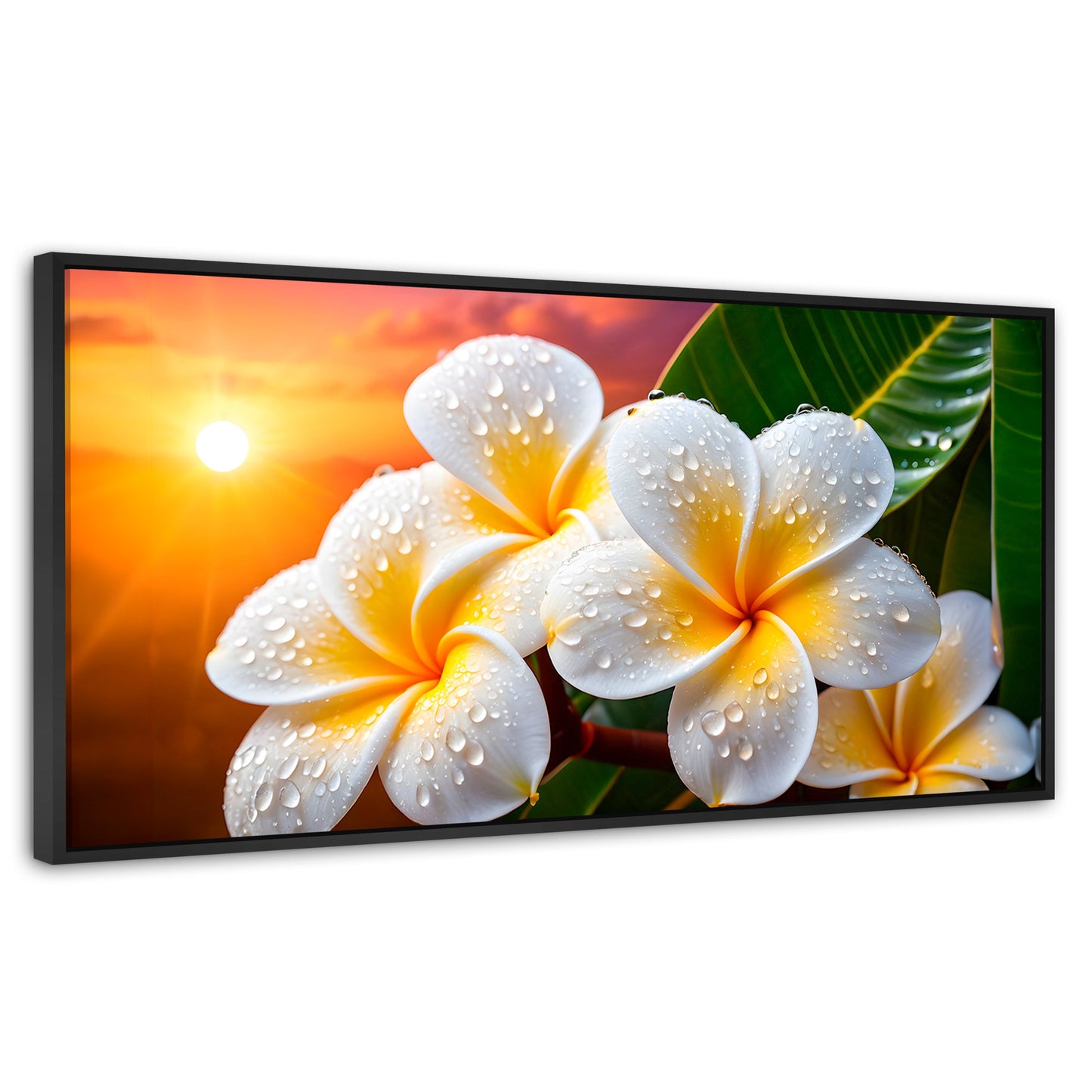 Cuadros Decorativos Canvas Revolution | Plumeria Luz Serena | Panoramico | Portada | Marco Negro