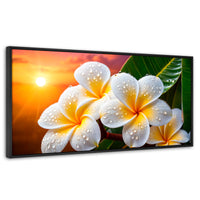 Cuadros Decorativos Canvas Revolution | Plumeria Luz Serena | Panoramico | Portada | Marco Negro