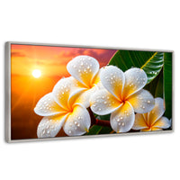 Cuadros Decorativos Canvas Revolution | Plumeria Luz Serena | Panoramico | Portada | Marco Plateado