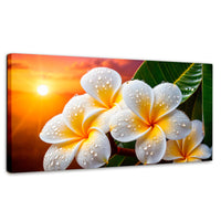 Cuadros Decorativos Canvas Revolution | Plumeria Luz Serena | Panoramico | Portada | Marco SinMarco