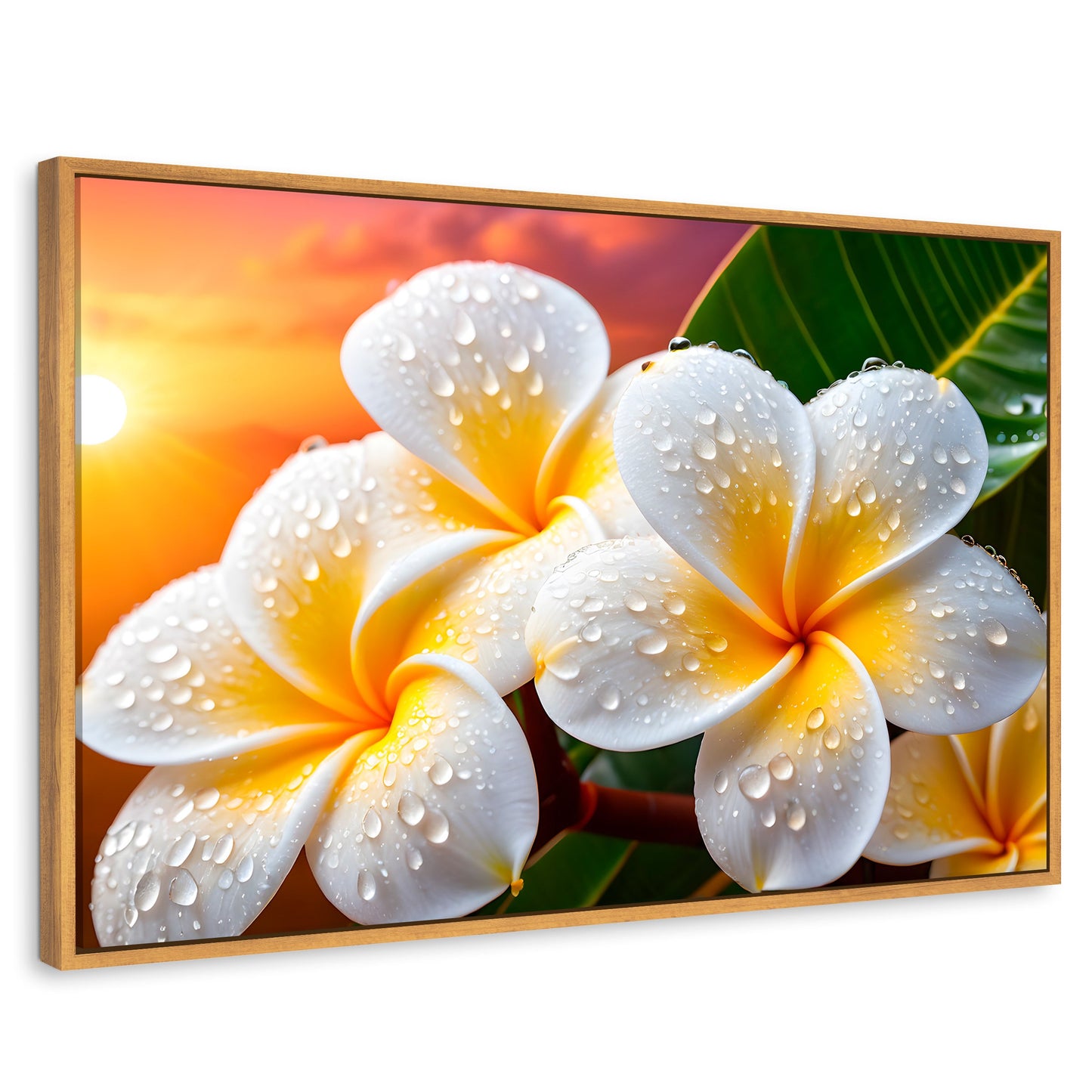 Cuadros Decorativos Canvas Revolution | Plumeria Luz Serena | Rectangular | Portada | Marco Madera