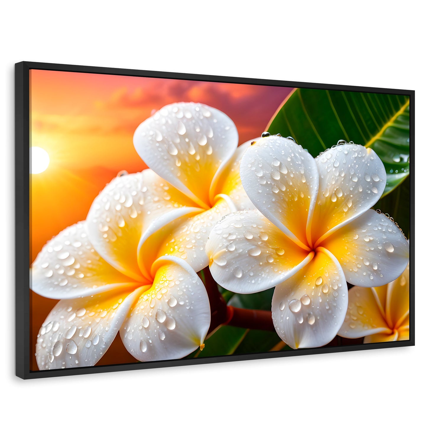 Cuadros Decorativos Canvas Revolution | Plumeria Luz Serena | Rectangular | Portada | Marco Negro