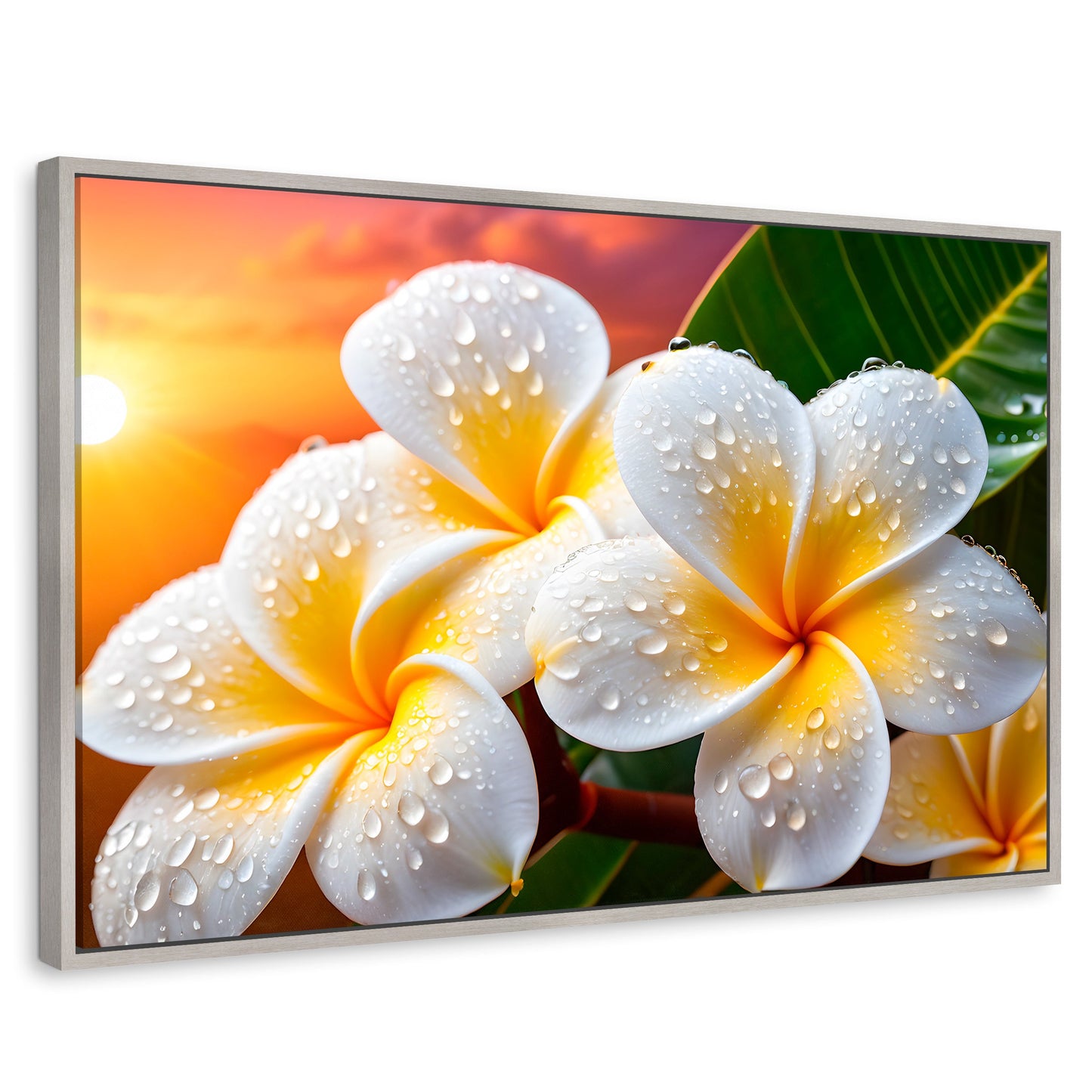 Cuadros Decorativos Canvas Revolution | Plumeria Luz Serena | Rectangular | Portada | Marco Plateado